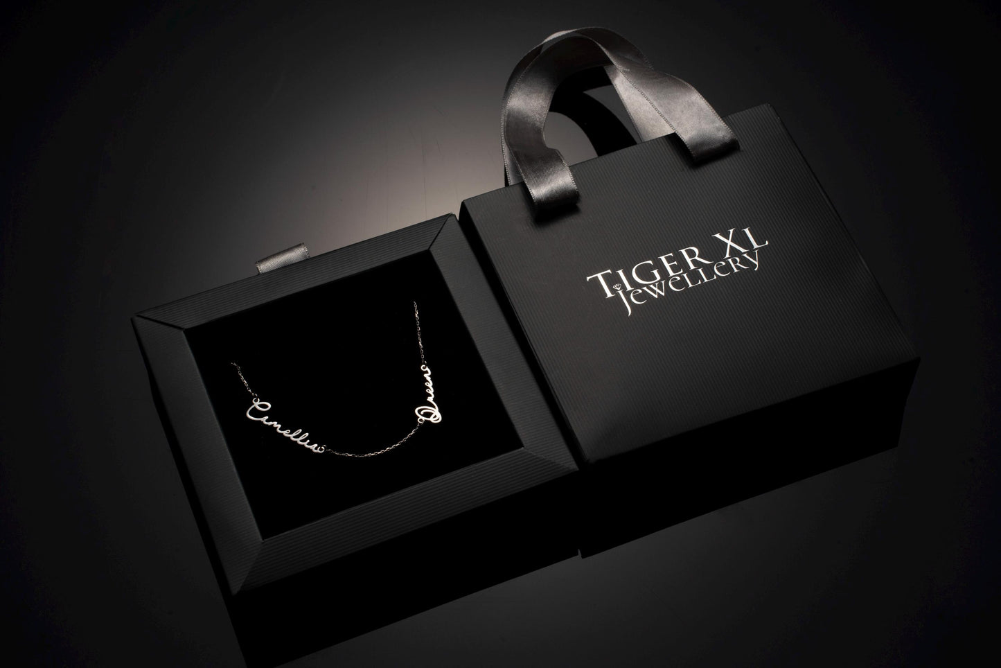 Personalized Silver Necklace with Up to 5 Names - Custom Gift for Mom, Grandma, or Sister