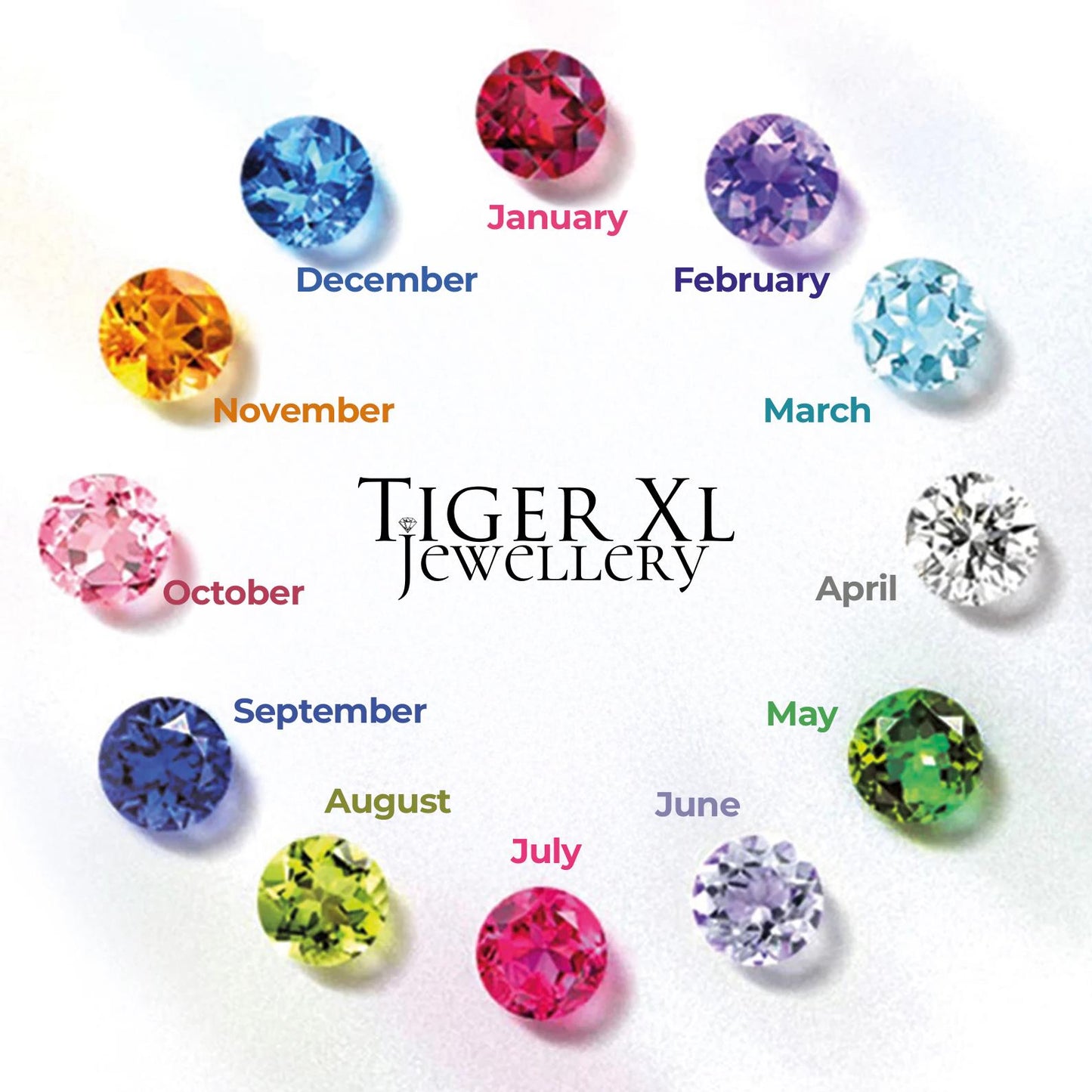 Pet Loss Tribute Necklace - Sterling Silver Paw Charm for Pet Lovers, Customizable with Birthstone