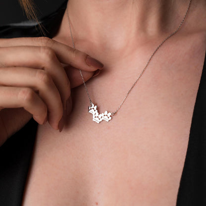 Cherished Memories: Sterling Silver Pet Memorial Necklace