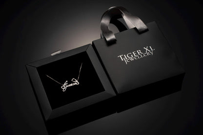 Customized Stethoscope Necklace for Doctors, Sterling Silver Medical Gift