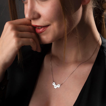 Cherished Memories: Sterling Silver Pet Memorial Necklace